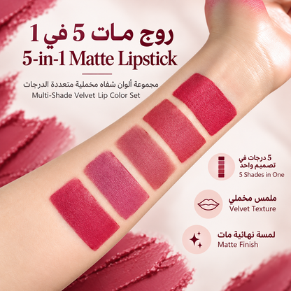 5-in-1 Matte Lipstick