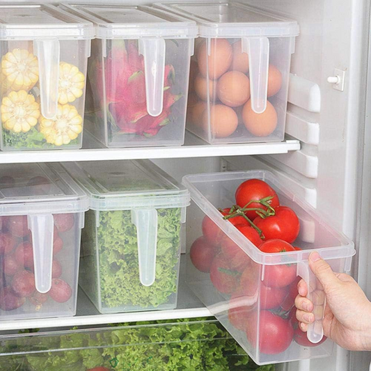 Kitchen Organizer Plastic Kitchen Refrigerator Storage Box With Lid
